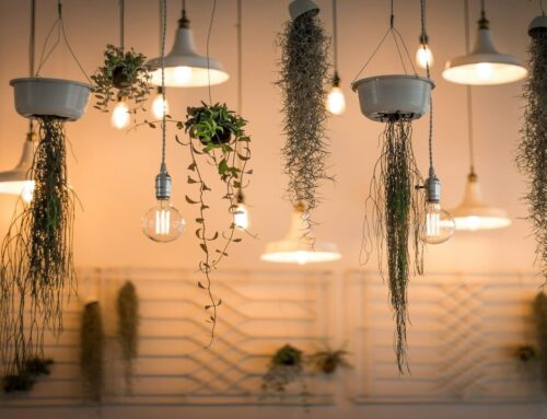 ¿Qué bombilla LED elegir para sustituir a las tradicionales?